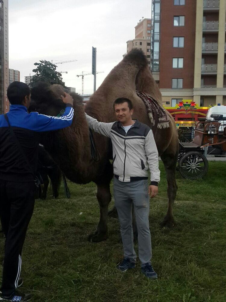  30439584  , 37 ,    -