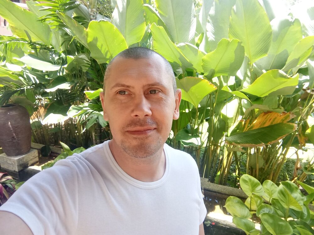  54099814  , 44 ,    -