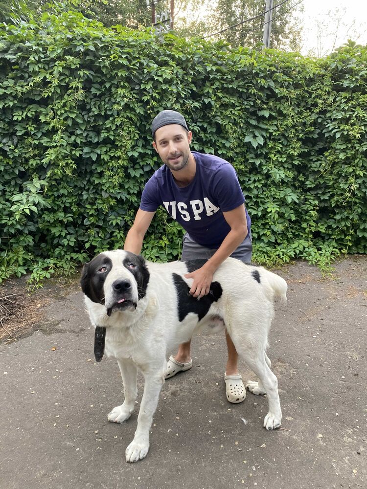 ���� 25459214 ������� ���������, 34 ����, ���� ���������� � ������