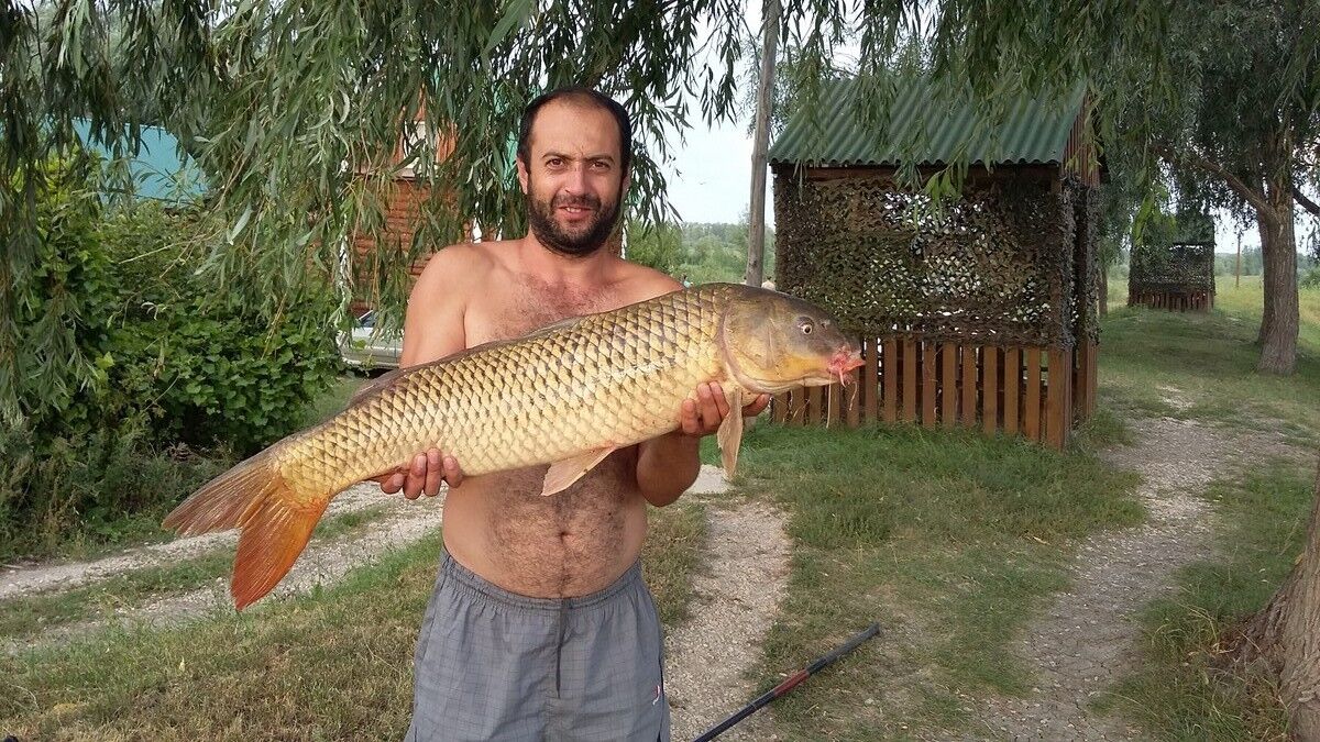 ���� 8213734 ������� �����, 42 ����, ���� ���������� � ��������