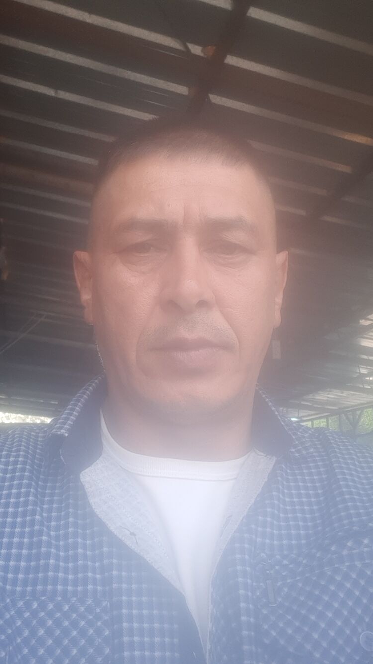 ���� 37884904 ������� Kaisar, 45 ���, ���� ���������� � ������