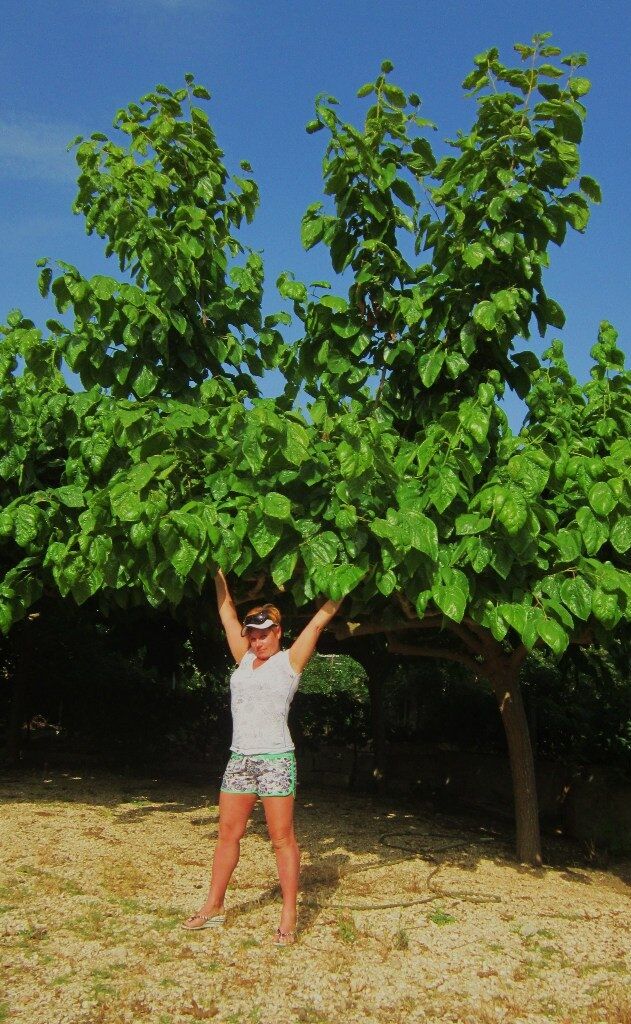 ���� 51018164 ������� �����, 58 ���, ���� ���������� � �����-����������