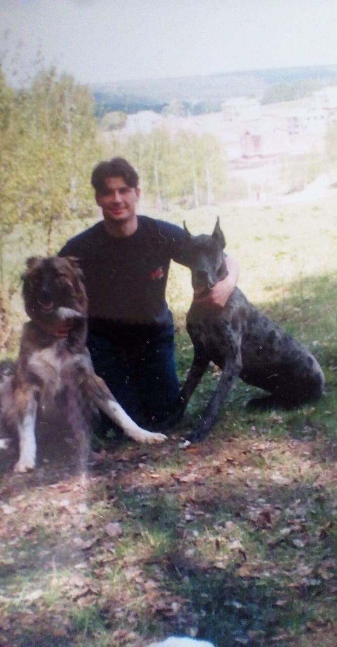 ���������� ������, ���� ������� ���������, 52 ����, ������������ ��� ������, ����� � ���������