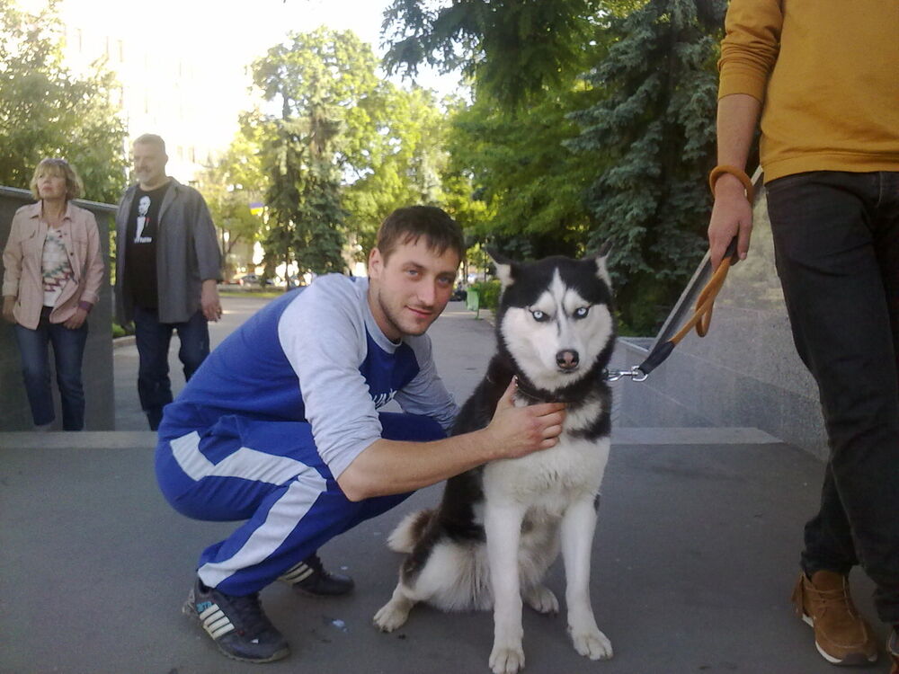 ���� 10709014 ������� Vladimir, 30 ���, ���� ���������� � ��������