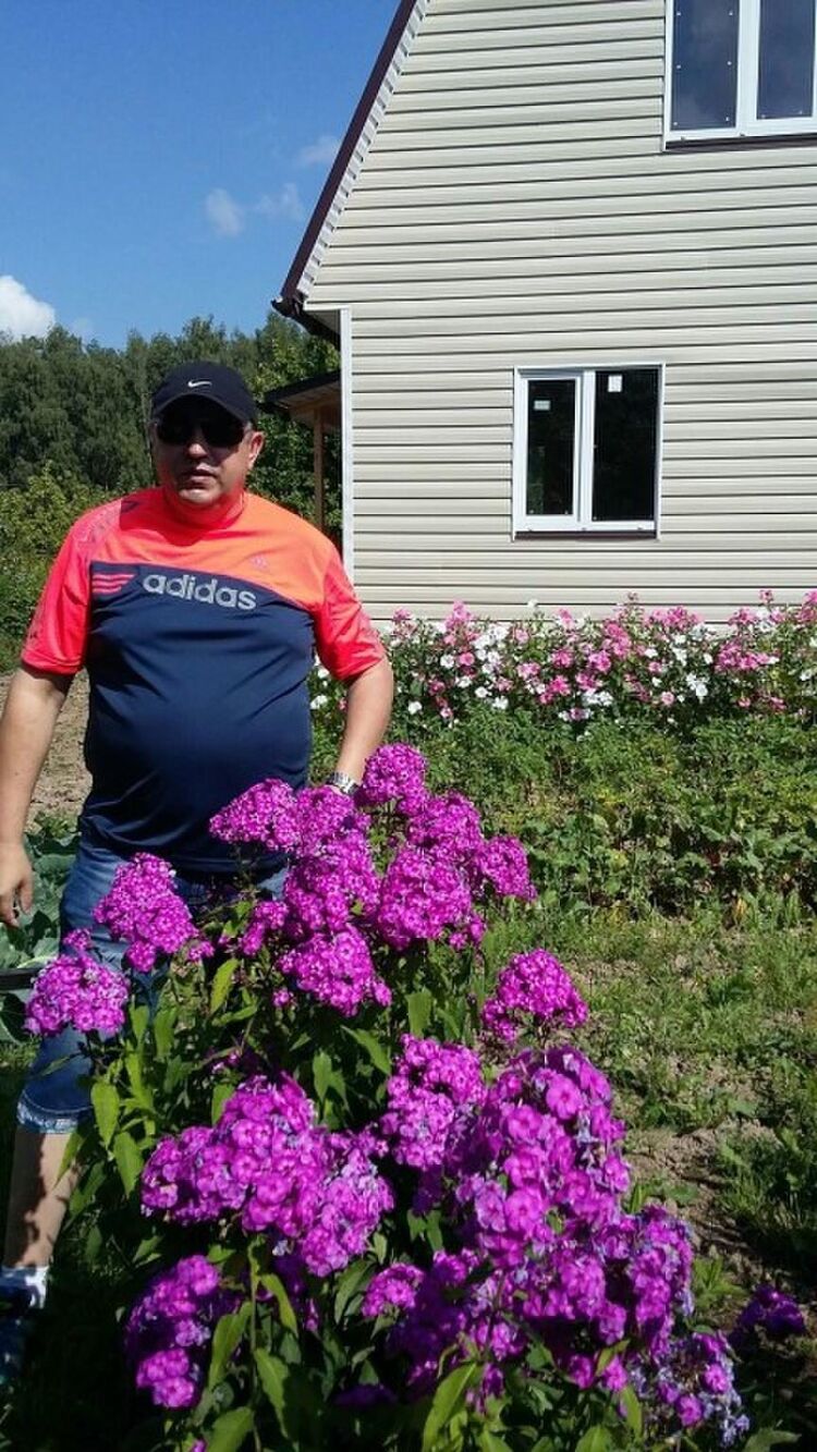 ���� 53263534 ������� ����, 65 ���, ���� ���������� � ����