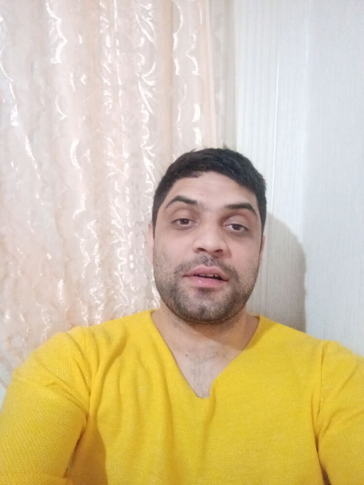  33032384  , 31 ,    