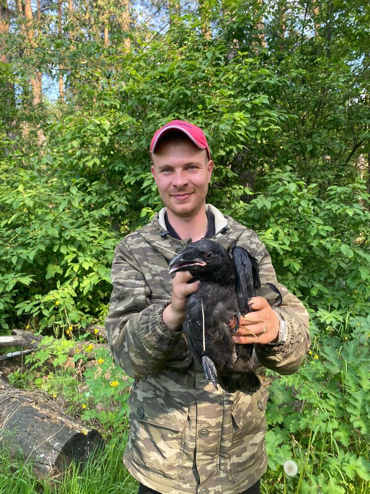 ���� 36349484 ������� �������, 31 ���, ���� ���������� � ������