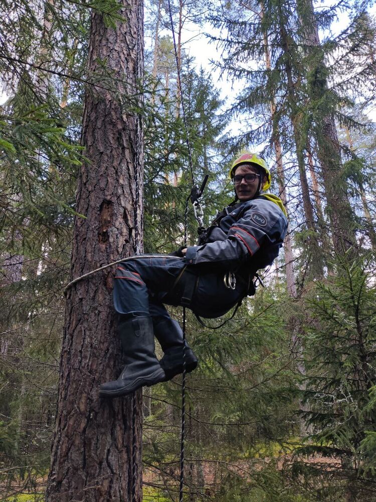 ���������� �����-���������, ���� ����� ������, 25 ���, ������������ ��� ������, ����� � ���������, ���������