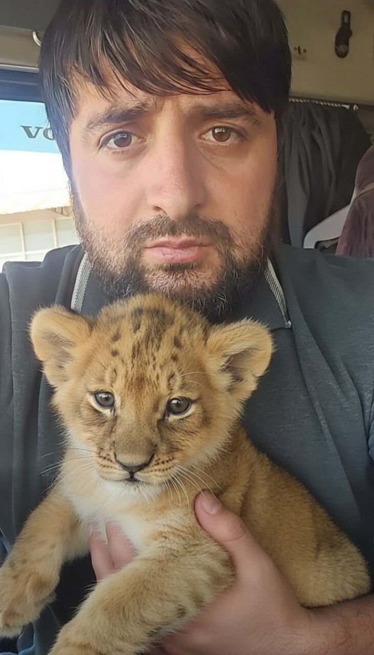 ���� 54679114 ������� �������, 34 ����, ���� ���������� � ����