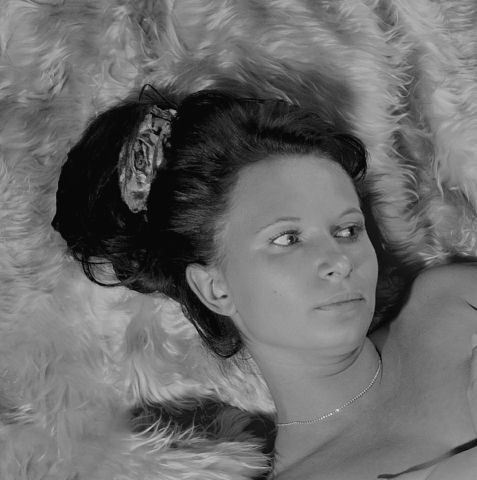 ���������� �����, ���� ������� �����, 41 ���, ������������ 