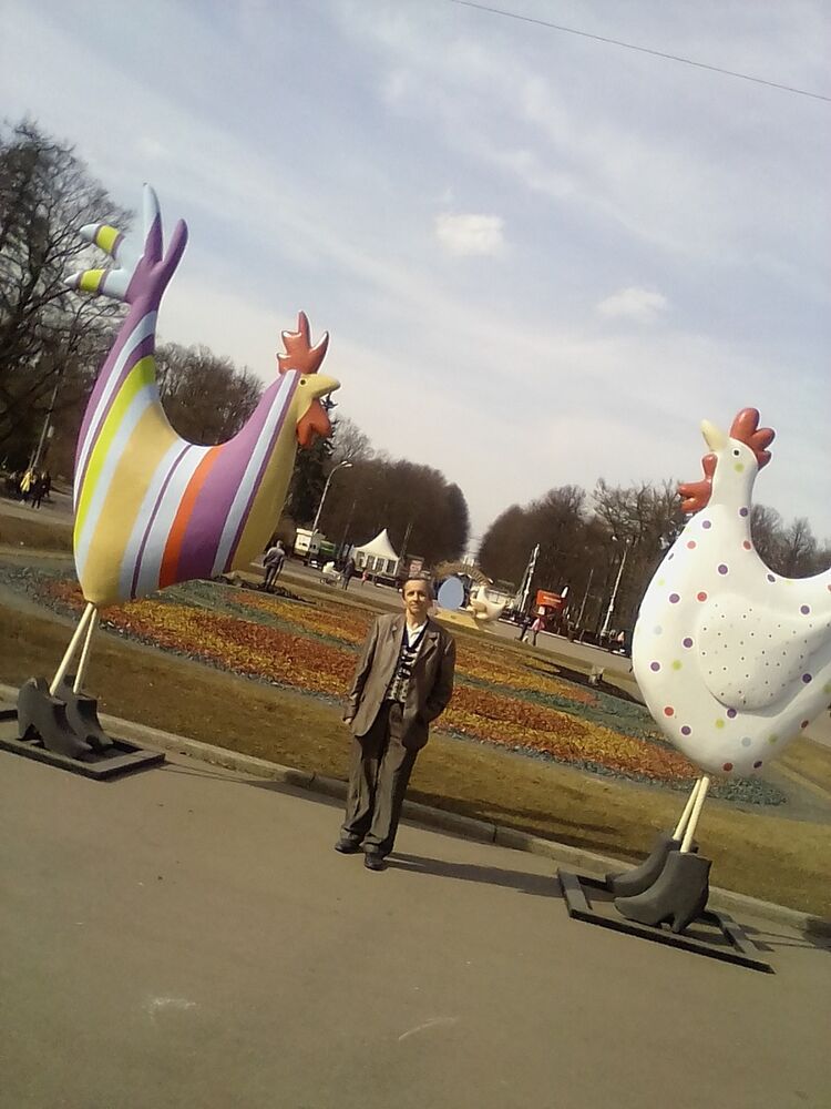  12050844  , 64 ,    