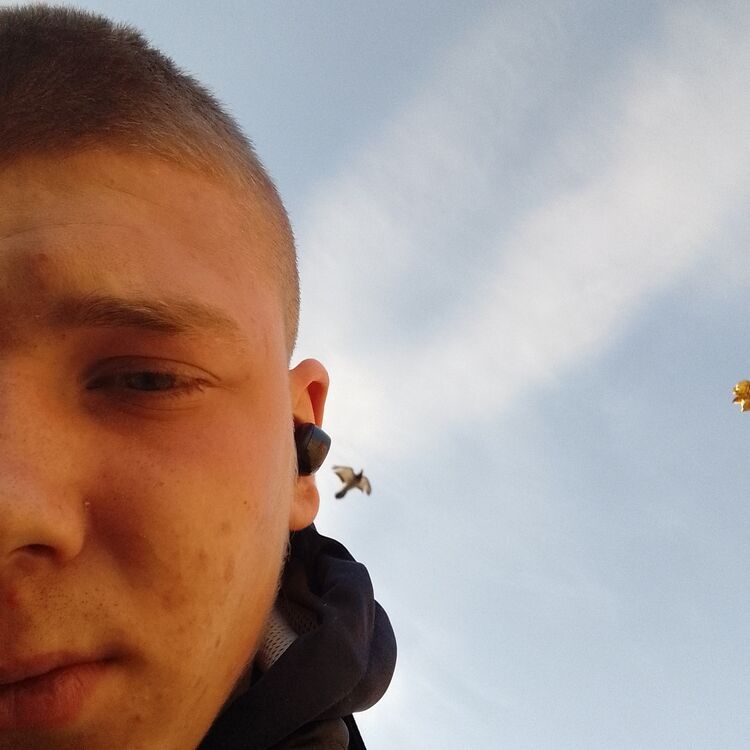 ���������� ������������, ���� ����� ����, 20 ���, ������������ ��� ������, ����� � ���������