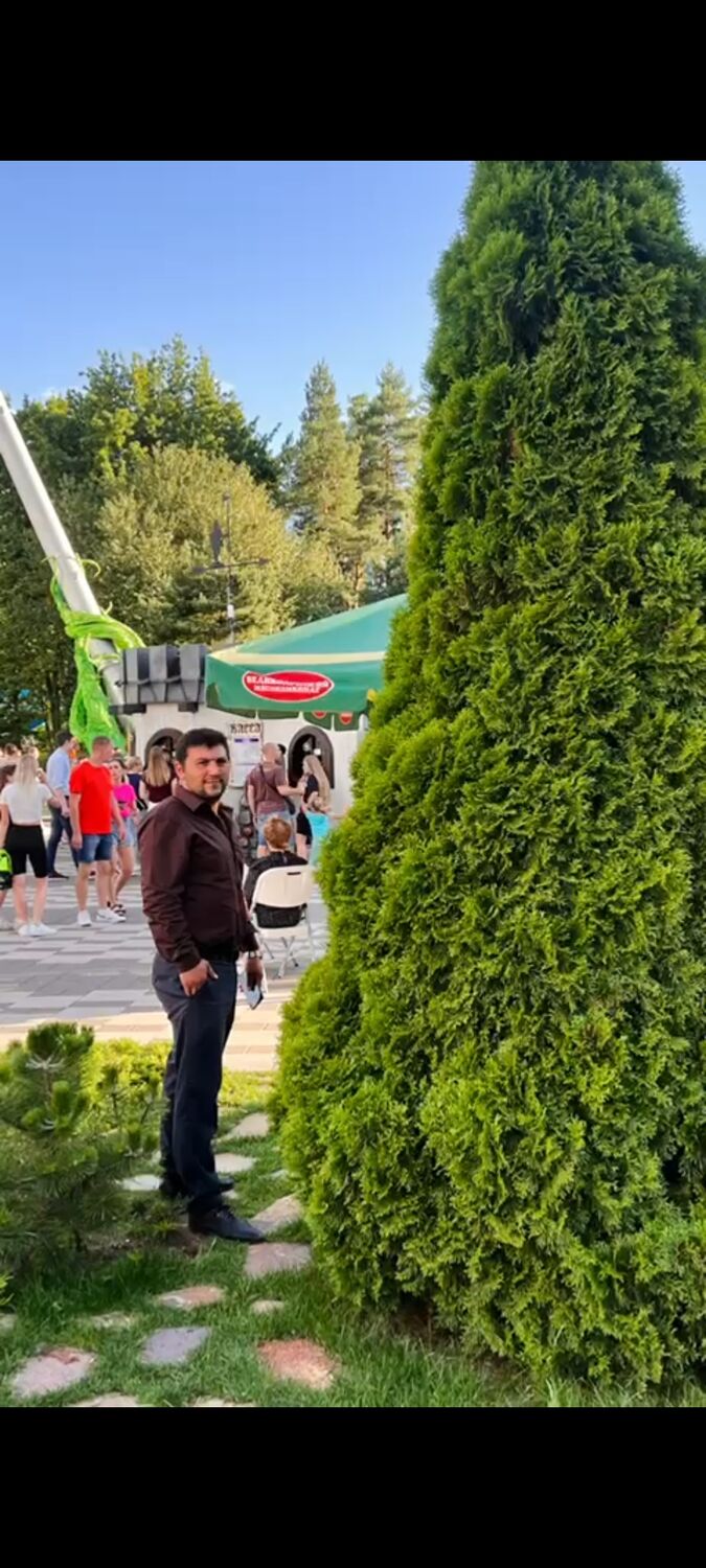  37637214  , 33 ,    -