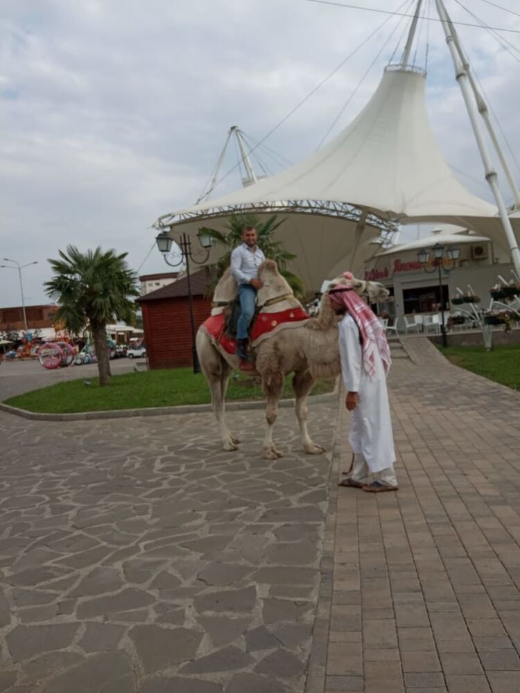 ���������� ���������, ���� ������� �����, 36 ���, ������������ ��� ������, ����� � ���������, c�������� ���������, ���������