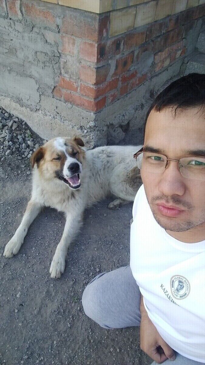 ���������� ������, ���� ������� �����, 31 ���, ������������ ��� ������, ����� � ���������, c�������� ���������