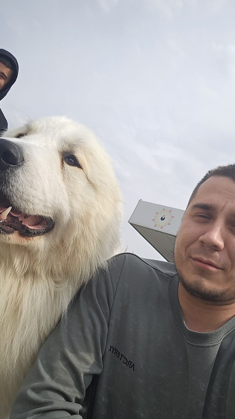 ���� 51459614 ������� ����, 31 ���, ���� ���������� � ������