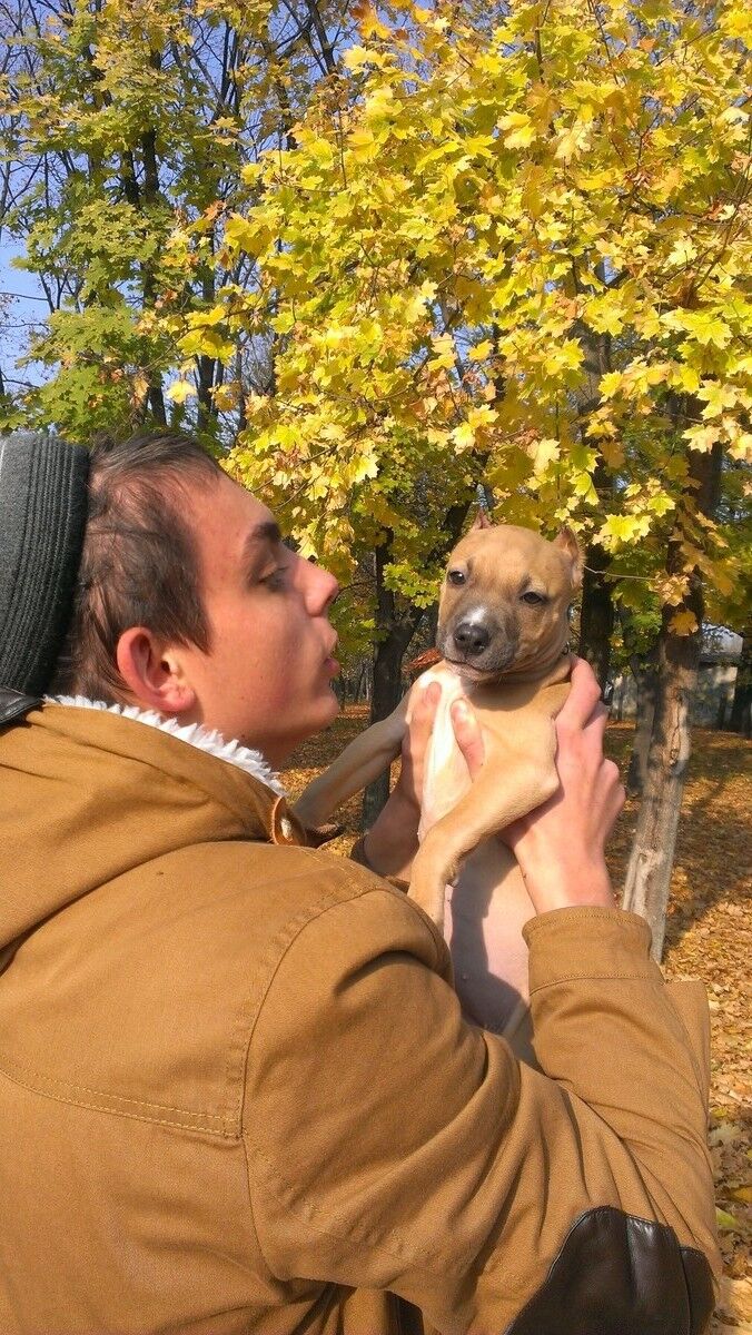 ���� 5292554 ������� ����, 29 ���, ���� ���������� � ���������