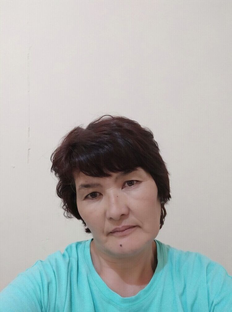  20440824  , 50 ,    