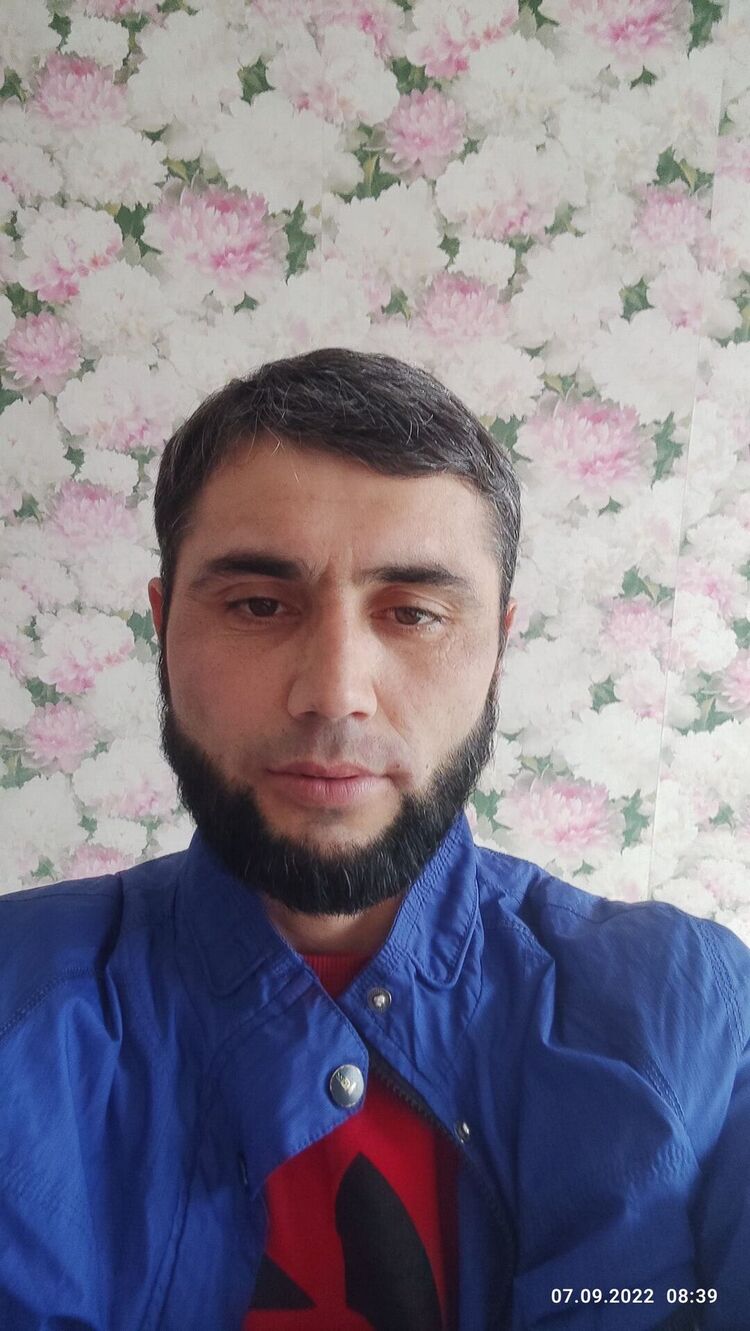  31049354  , 38 ,    -