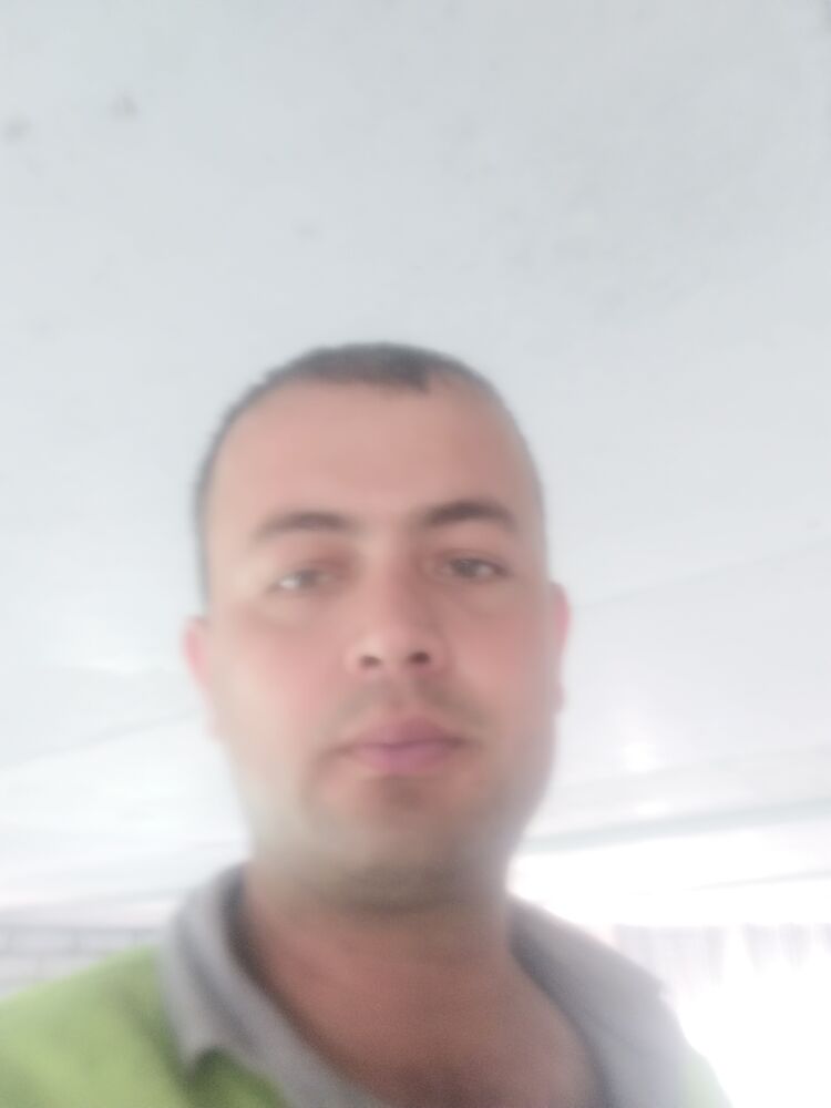  35101464  , 34 ,    