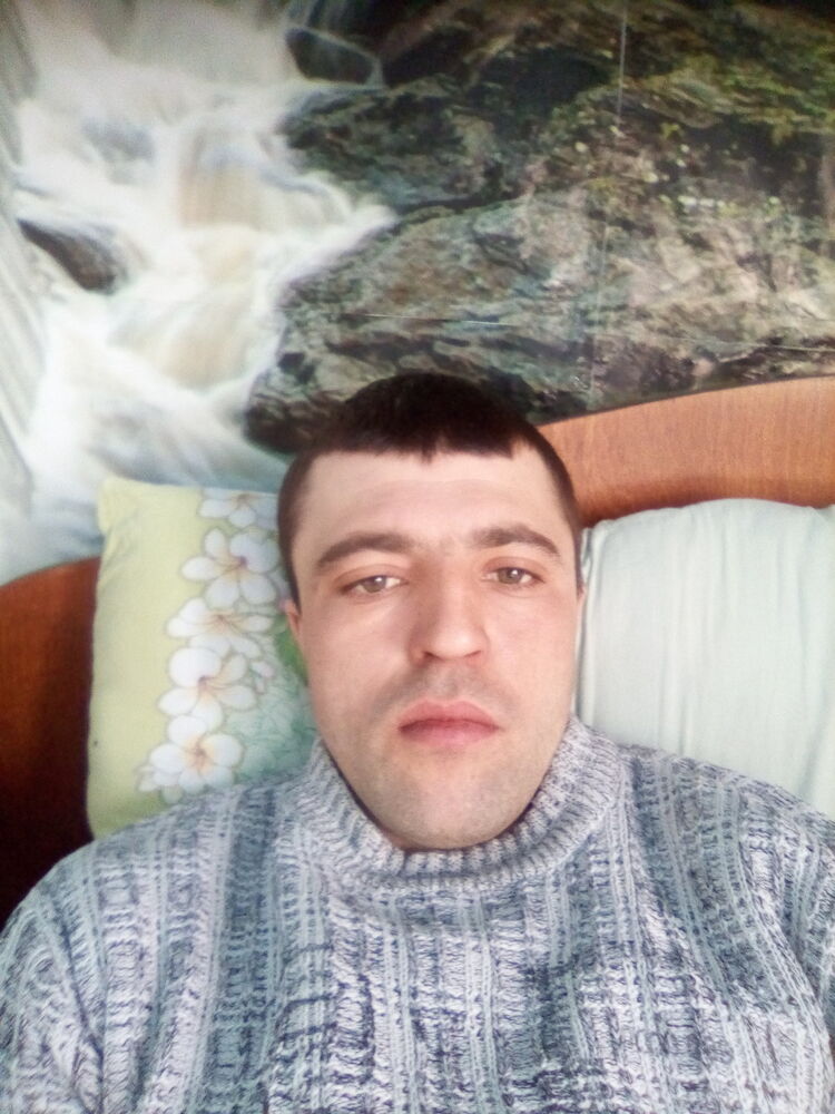  15356054  , 31 ,    