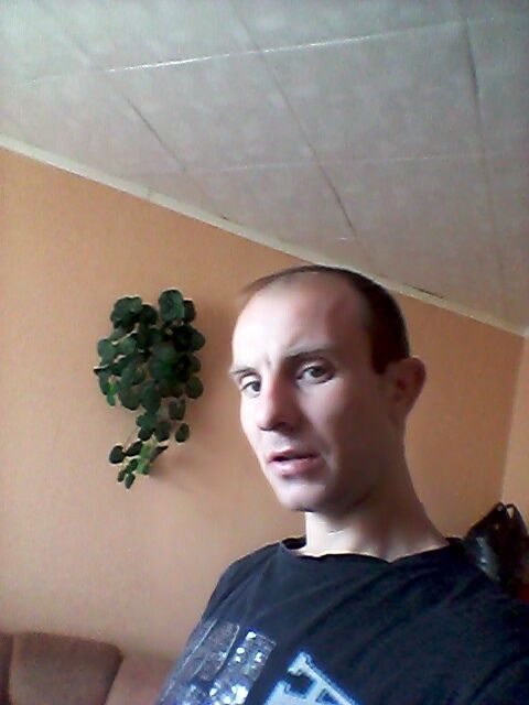 ���� 23513804 ������� �������, 38 ���, ���� ���������� � ���������