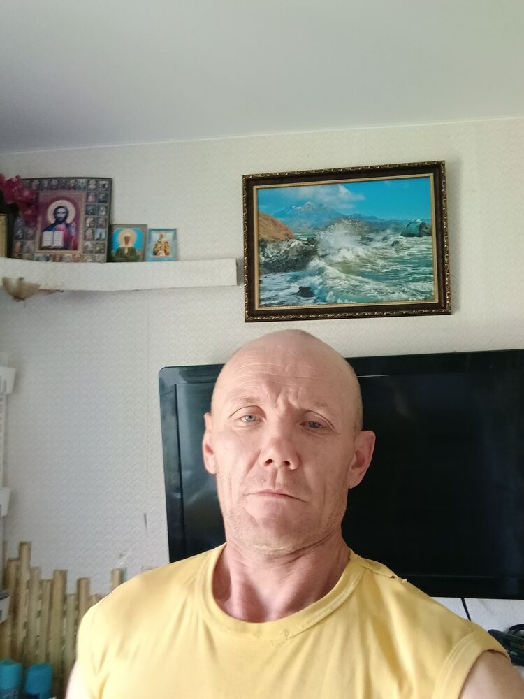  43302574  , 48 ,    