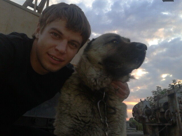 ���� 8857394 ������� ����, 36 ���, ���� ���������� � ����������