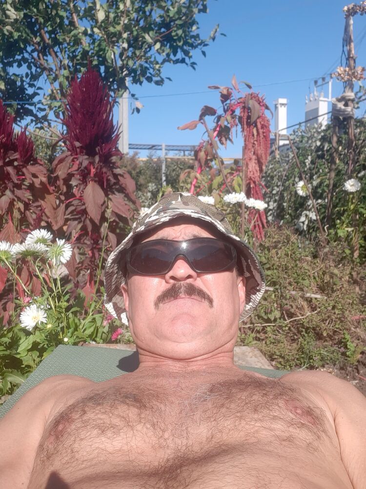 ���� 24543374 ������� ����, 48 ���, ���� ���������� � �������