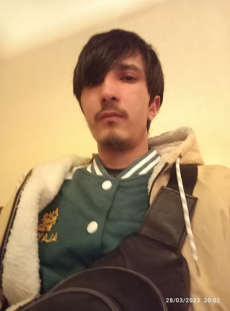  33486504  , 24 ,    