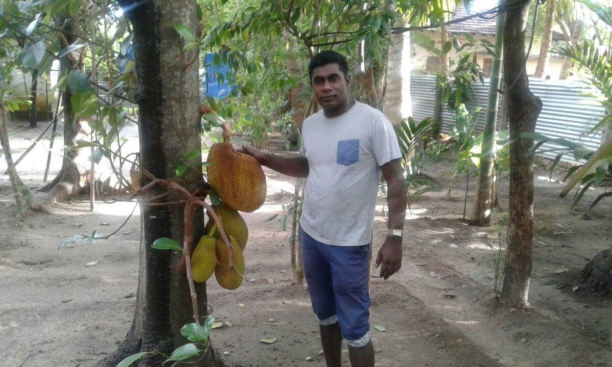  ,   Rossan, 34 ,   