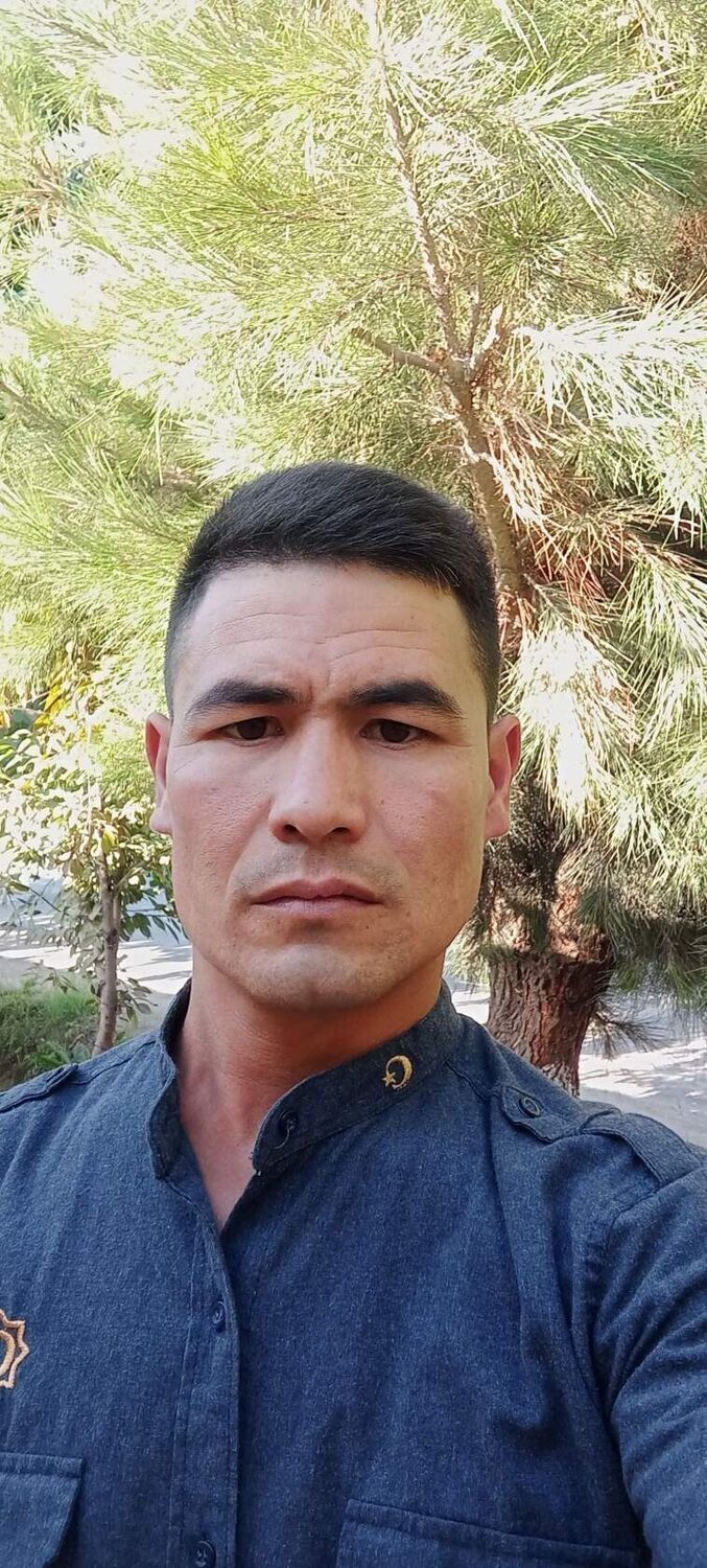 ���� 50475554 ������� ��������, 33 ����, ���� ���������� � ������