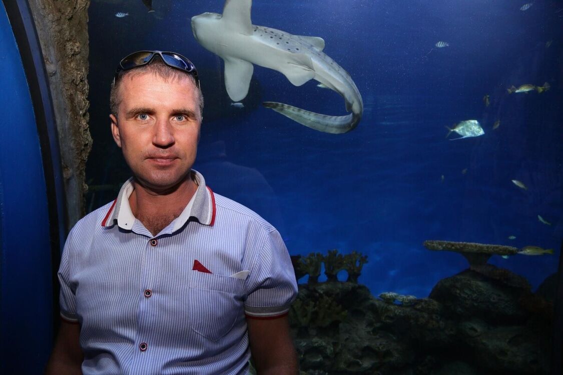 ���������� �����������, ���� ������� �������, 46 ���, ������������ ��� ������, ����� � ���������, c�������� ���������