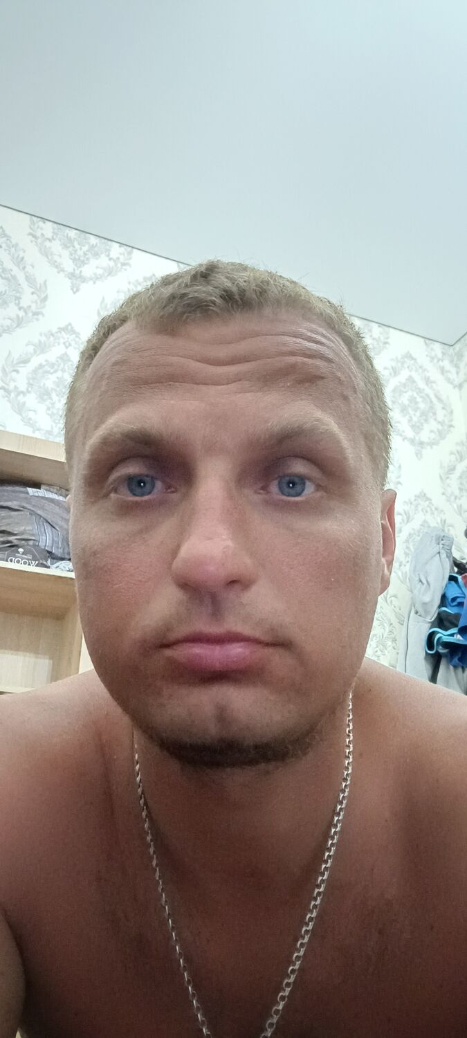  44643884  , 41 ,    