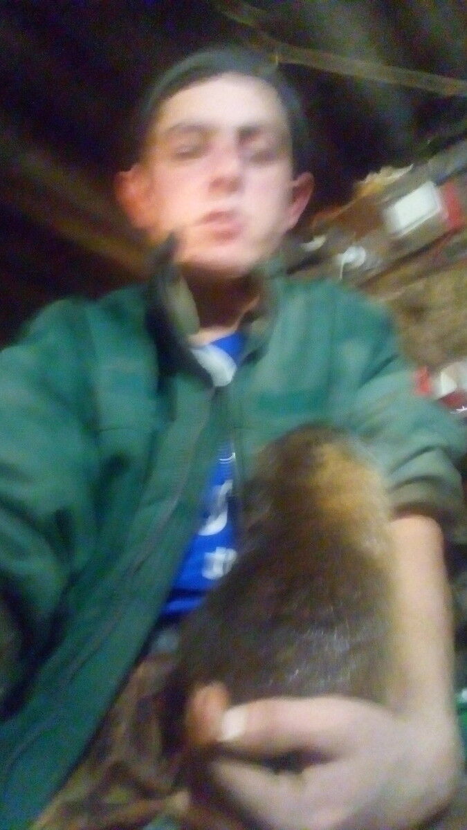  14484184  , 35 ,    