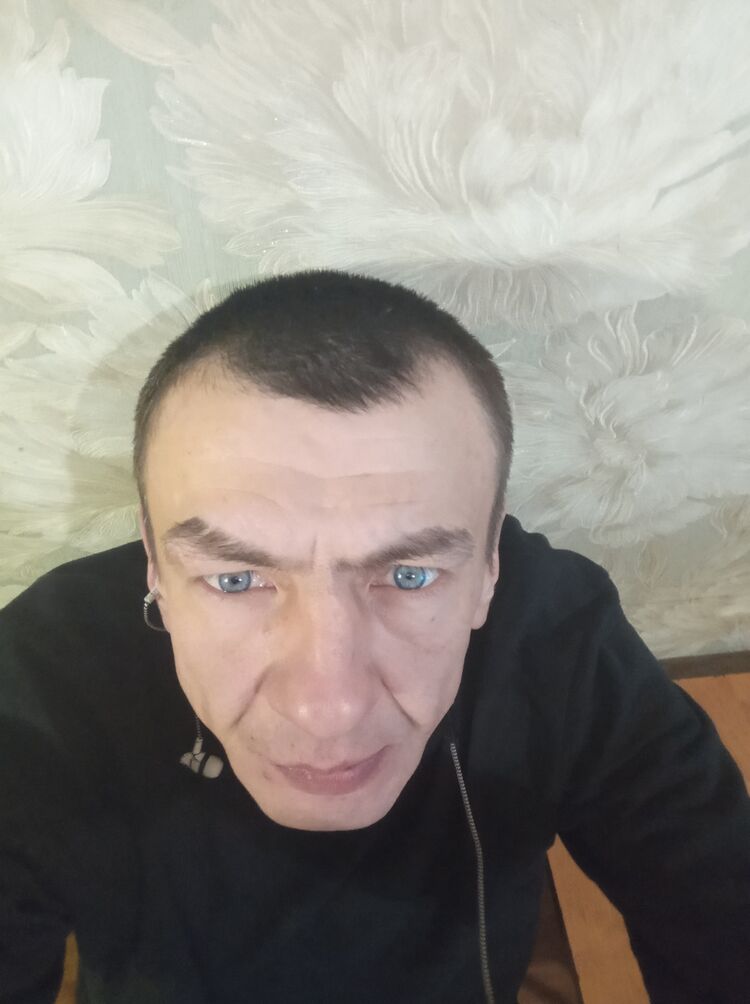  39810984  , 43 ,    