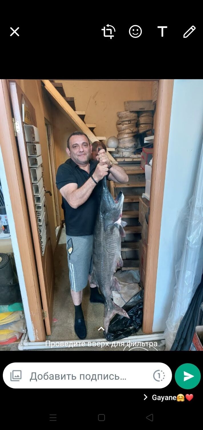 ���� 34940904 ������� ������, 47 ���, ���� ���������� � �������