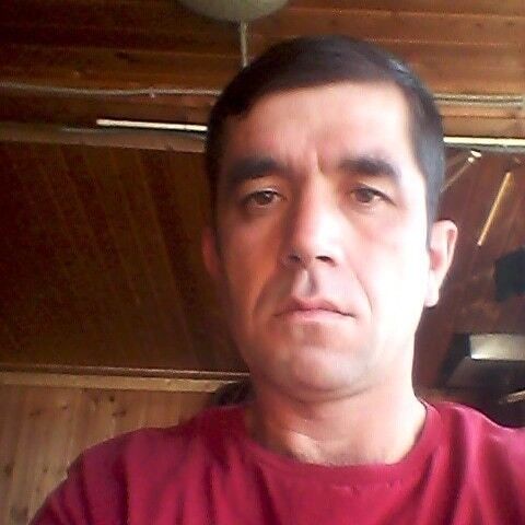  18028834  , 41 ,    