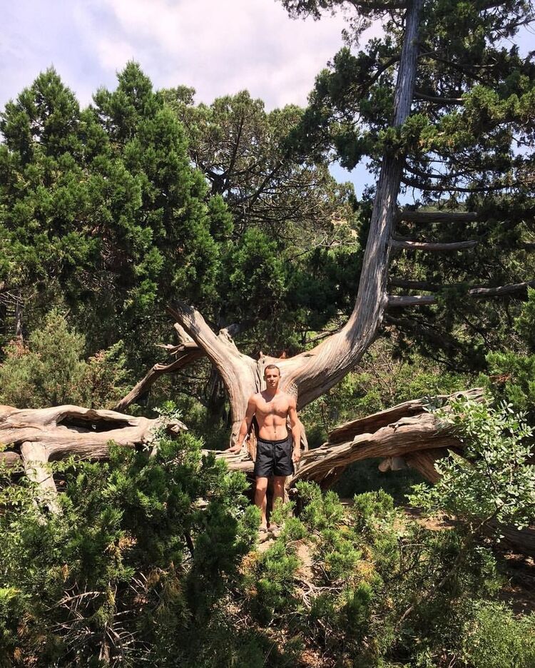 ���������� ������, ���� ������� �������, 38 ���, ������������ ��� ������, ����� � ���������, c�������� ���������