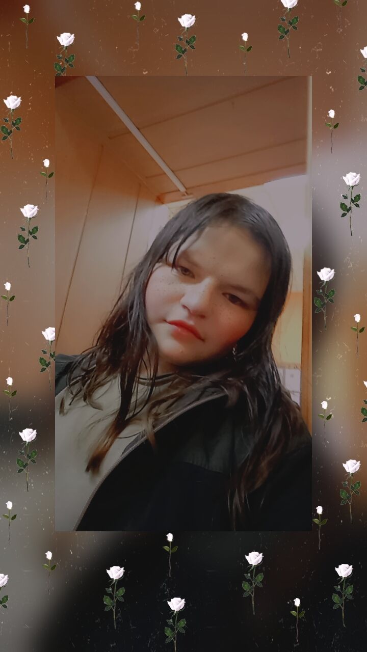  53598194  , 20 ,    