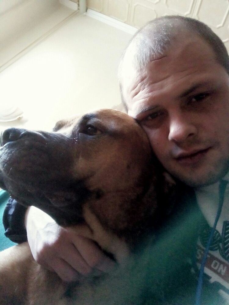 ���������� �����-���������, ���� ������� �������, 38 ���, ������������ ��� ������, ����� � ���������