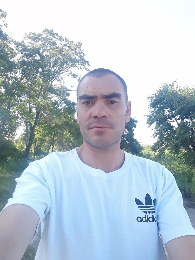  35935694  , 43 ,    