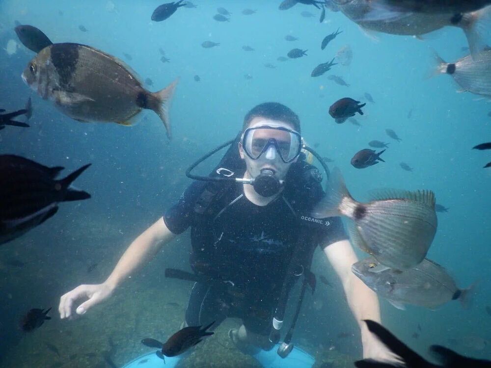 ���� 55895884 ������� ��������, 38 ���, ���� ���������� � ���������