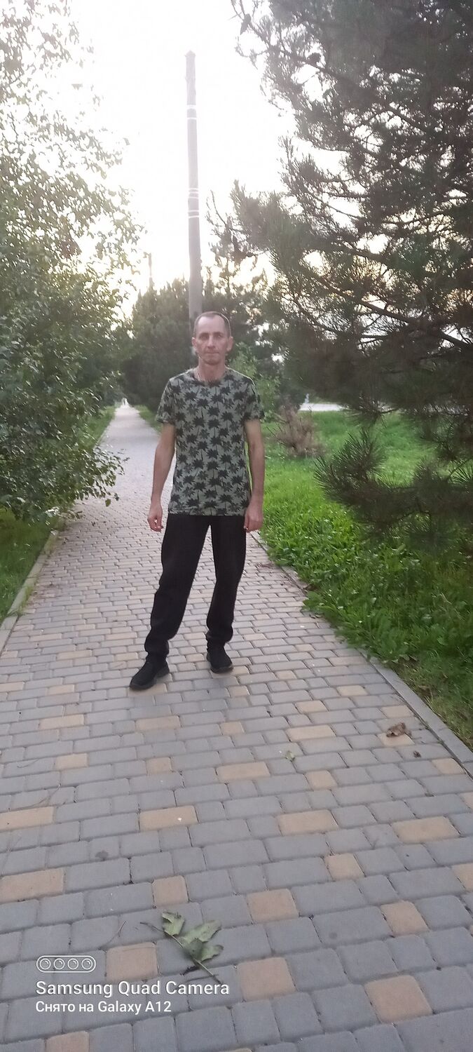  46533564  , 44 ,    