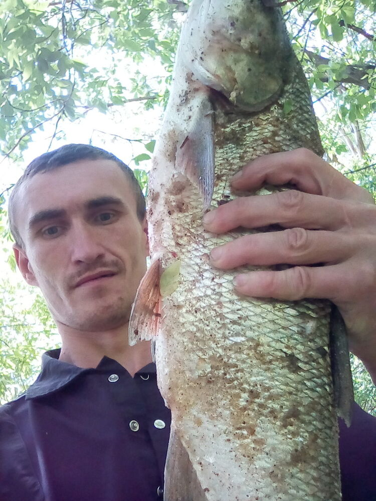 ���� 10343584 ������� � � � �, 42 ����, ���� ���������� � ����������