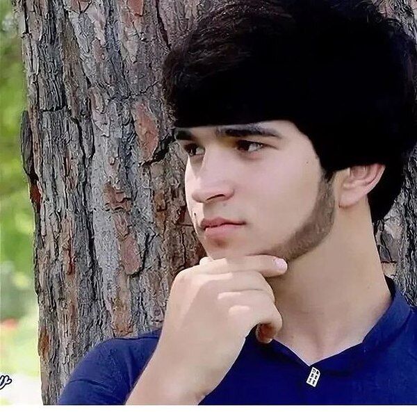  53669834  , 29 ,    -