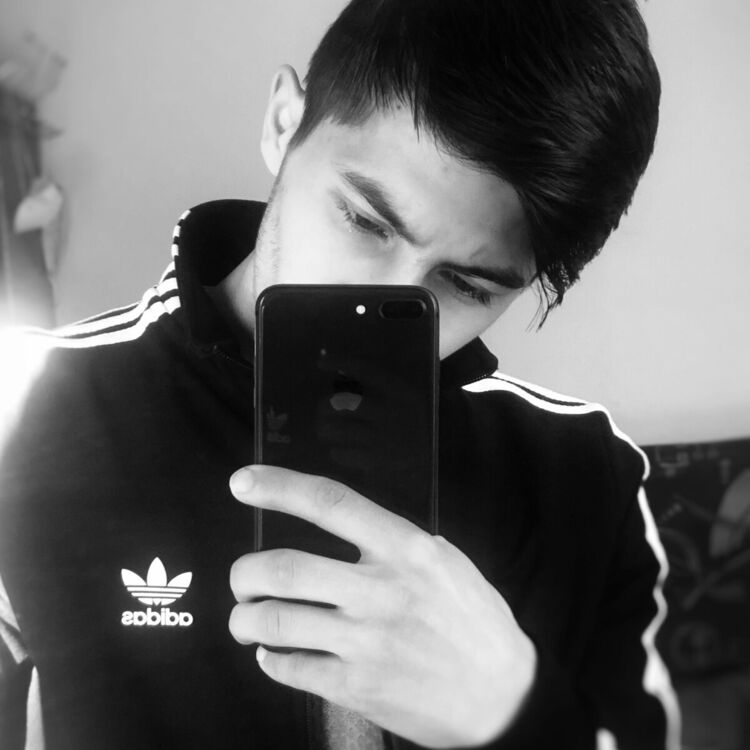 ���� 22277384 ������� ������, 26 ���, ���� ���������� � ����������