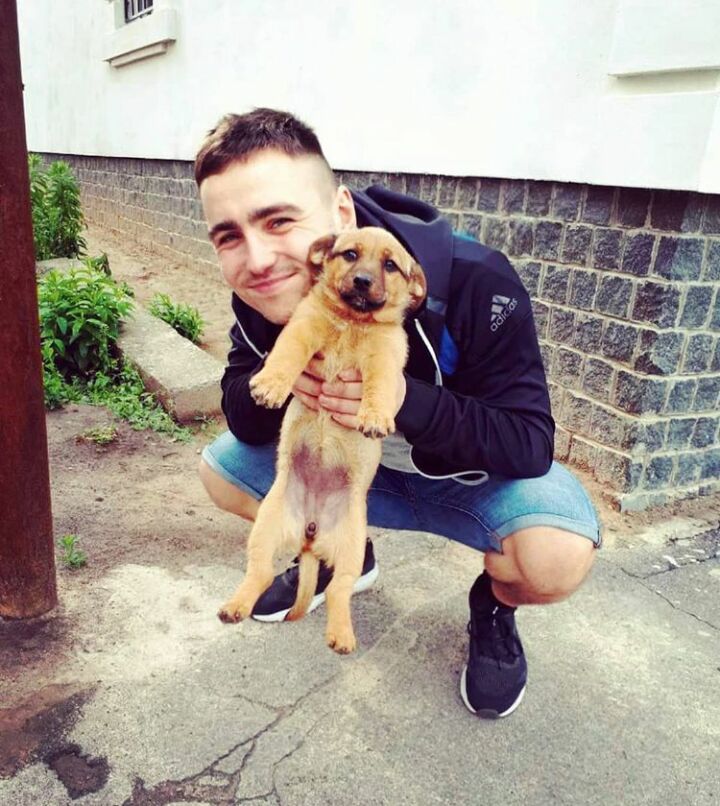 ���������� ����, ���� ������� �������, 34 ����, ������������ ��� ������, ����� � ���������, c�������� ���������