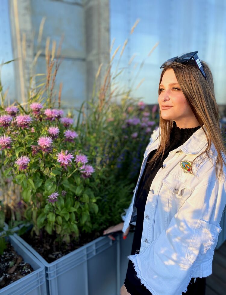  31826194  , 31 ,    -