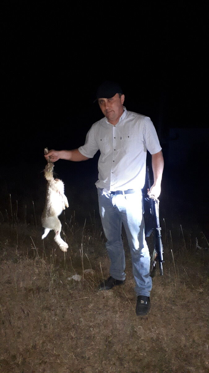 ���� 11351854 ������� �����, 44 ����, ���� ���������� � ���������